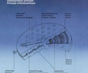 348979_201606031104444zJEJ.thumb.jpg