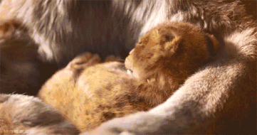 0.gif