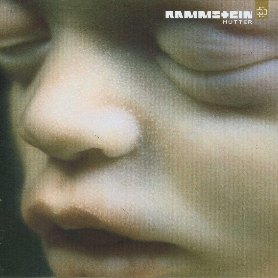 Rammstein___Mutter-1100x1098.jpg