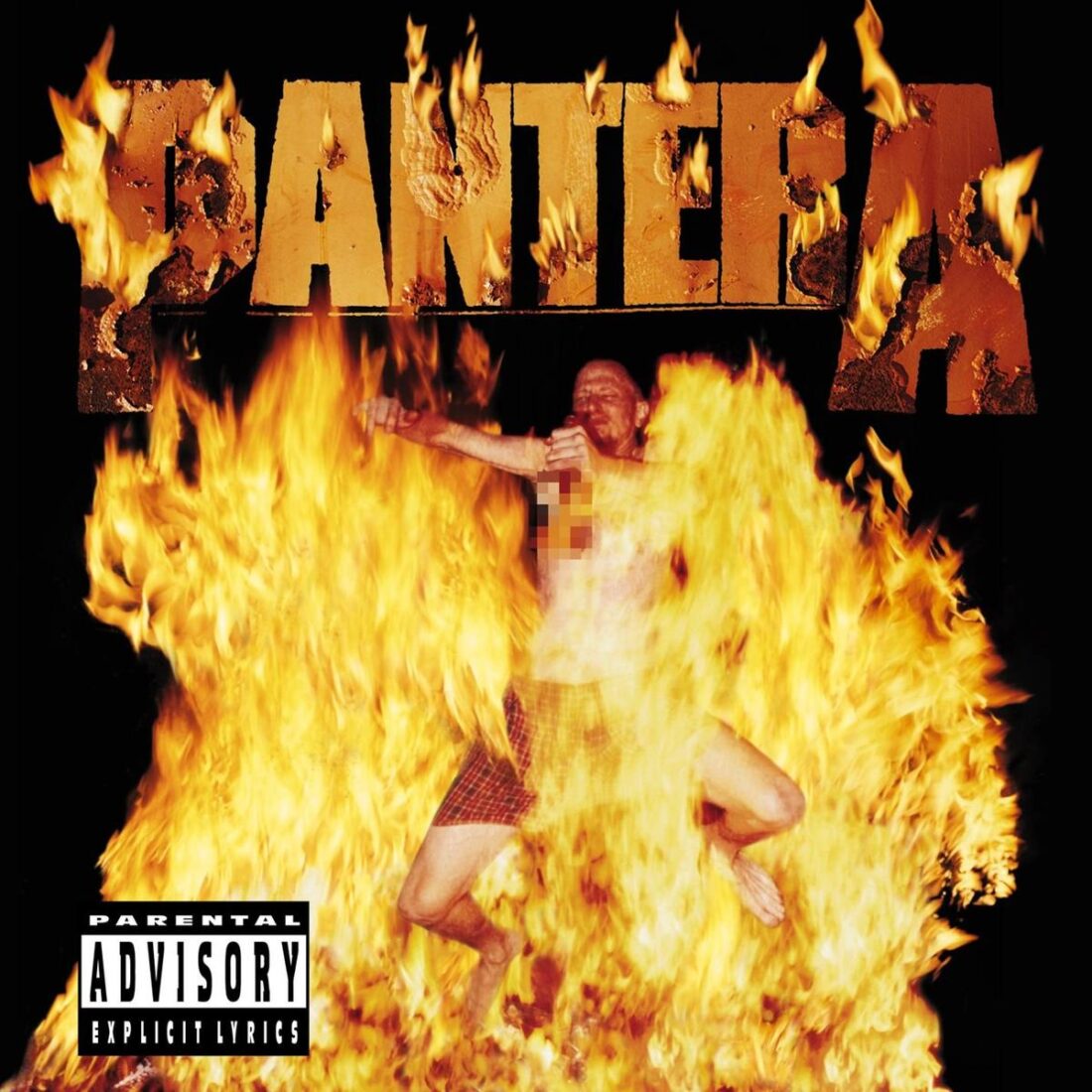 Pantera___Reinventing_the_Steel-1100x1100.jpg